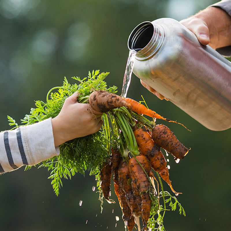 64oz-wide-with-loop-cap-b4 64oz_wide_mouth_bottle_carrots_rinse_square.jpg