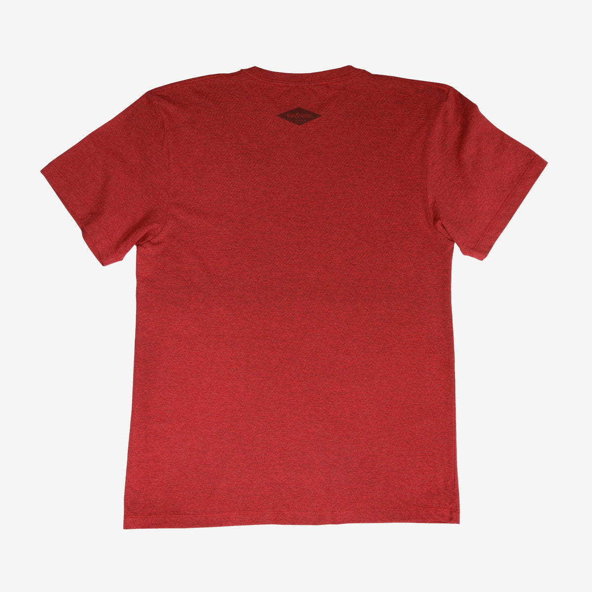 backyard-t-shirt-j0 Shirt_Mtn_Back.jpg